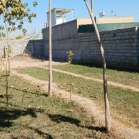 باغ ، جاخونه ،آینده دار|فروش زمین و ملک کلنگی|نجفآباد, قلعه سفید|دیوار