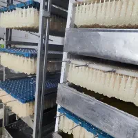 صفر تا صد آموزش تولید نبات به همراه نصب تجهیزات