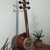 کمانچه کاسه متوسط