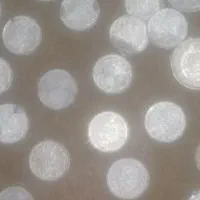 سکه 1ریالی وسکه2ریالی