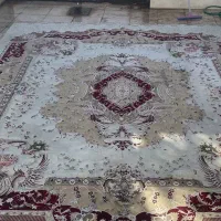 قالی ۱۲ متری شسته شده تمیز