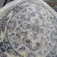 پادری گرد فرشی،۷۰۰ شانه و نو