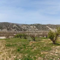 باغ  ثمری خان زنیان