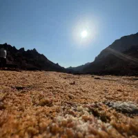 سفر به نگین سرخ خلیج فارس|تور و چارتر|شیراز, قصرالدشت|دیوار