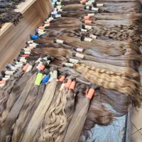 مرکز خریدمو سبزوار خریدار اصلی