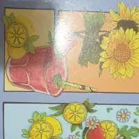 کتاب تست زیست دهم،کتاب تابستان یازدهم،ریاضی یازدهم|کتاب و مجله آموزشی|میناب, |دیوار