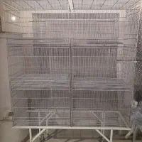 قفس ششخان سفارشی