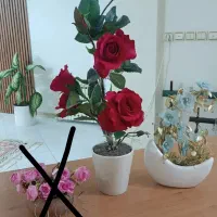 لوازم منزل ، مشاهده عکس ها