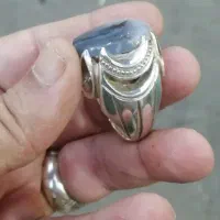 شجر طبیعی|جواهرات|گرگان, |دیوار