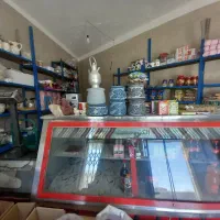 یخچال صنعتی برای مغازه و هایپر