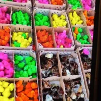 پخش‌ عمده وخرده  جوجه رنگی۱۴تومن