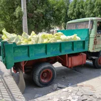 حمل نخاله وماسه و...|خدمات حمل و نقل|بندرعباس, |دیوار