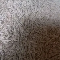 فروش جو ایرانی|خوردنی و آشامیدنی|شراء, |دیوار