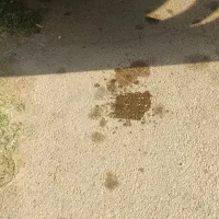 مغازه-شهرک-بهشتی-روبه-روی-پمپ-گاز-کوچه-استوکی-ها
