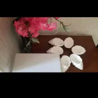 ملامین میوه خوری شکلات خوری قاشق قدیمی پیاله یلدای|ظروف سرو و پذیرایی|شیراز, قالیشویی|دیوار