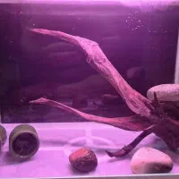 فروشگاه آنلاین انواع آکواریوم شیشه خم نصیری