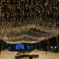 ریسه خوشه ای