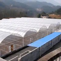 مصالح گلخانه گلخانه صنعتی پیمانکار گلخانه