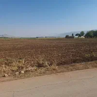 زمین کشاورزی آبی روبروی الکل سازی با موقعیت ممتاز|فروش دفتر صنعتی، کشاورزی، تجاری|خرم‌آباد, |دیوار