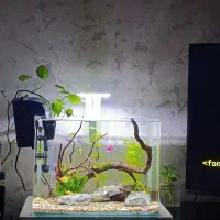 اکواریوم اندازه متوسط و وسایل کامل