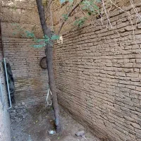 منزل طبقه همکف ۷۰ متر دارای حیاط ۱۶ متری مستقل|اجارهٔ آپارتمان|تبریز, |دیوار