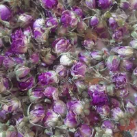 گلبرگ و غنچه گل محمدی خشک شده|خوردنی و آشامیدنی|تهران, شهرک چیتگر|دیوار