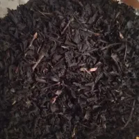 چای ایرانی نصف  قیمت کیلویی۲۰۰