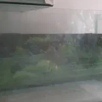 دو عدد اکواریوم