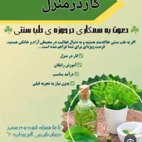 کار در منزل طب سنتی