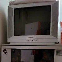 تلویزیون