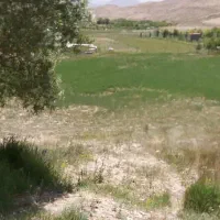 زمین کشاورزی به مساحت 2511 متر با سند تک برگی|فروش زمین و ملک کلنگی|فیروزکوه, |دیوار