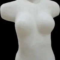 مانکن نیم تنه زنانه پلاستیکی