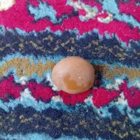 سنگ|کلکسیون اشیاء عتیقه|دورود, |دیوار