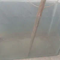 شیشه ی اکفاریوم