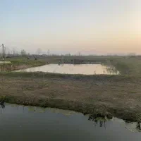 فروش پرورش ماهی ۲ هکتاری تمام‌در طرح هادی|فروش دفتر صنعتی، کشاورزی، تجاری|کیاشهر, |دیوار