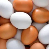 تخم مرغ محلی