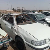 سمند تصادفی