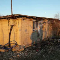 دامداری ،شیلات ،باغ