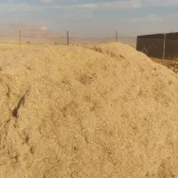 فروش کاه نیشکر|لوازم جانبی حیوانات|کوهدشت, |دیوار