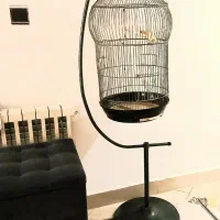قفس قناری یاعروس بسیارزیباوبزرگ