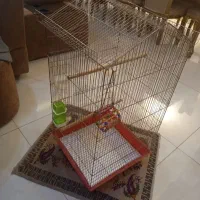 یک قفس پرنده بزرگ بسیار تمیز و سالم  با اسباب بازی