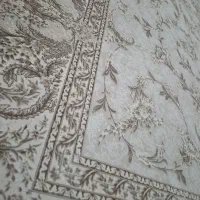 2 عدد فرش 9 متری نخ مرینوس پنبه آکبند|فرش|ارومیه, |دیوار