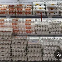 نیسان یخچالداربرای لبنیات وماشین مسقف برای تخم مرغ