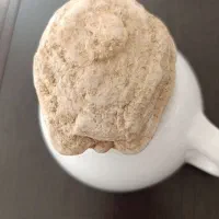 فسیل بچه لاکپشت چندین ملیون ساله