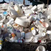 نیروی خانم وآقا واردبکار تفکیک