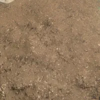 کود گوسفندی|خدمات باغبانی و درختکاری|هنزا, |دیوار