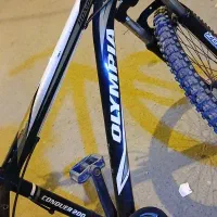 سید عباسزاده علوی|دوچرخه، اسکیت، اسکوتر|کرخه, |دیوار