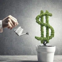 سرمایه صد ملیون