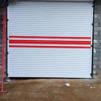 کرکره برقی و درب اتوماتیک قیصری|خدمات پیشه و مهارت|سقز, |دیوار