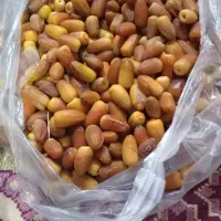رطب